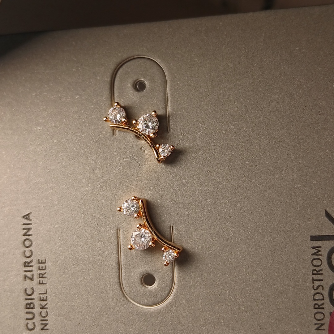 Earrings 10$